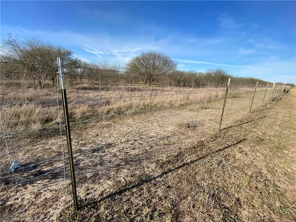 a view of a dry yard with wooden fence