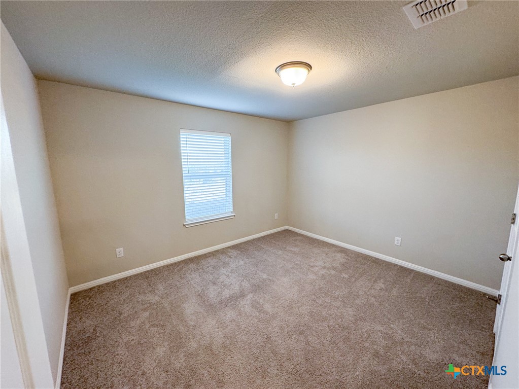 366 Silver Springs Bend Kyle, TX 78640 - Photo 6 of 13