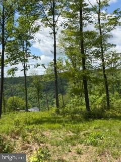 North Camp Road McHenry, MD 21541 - Photo 14 of 16