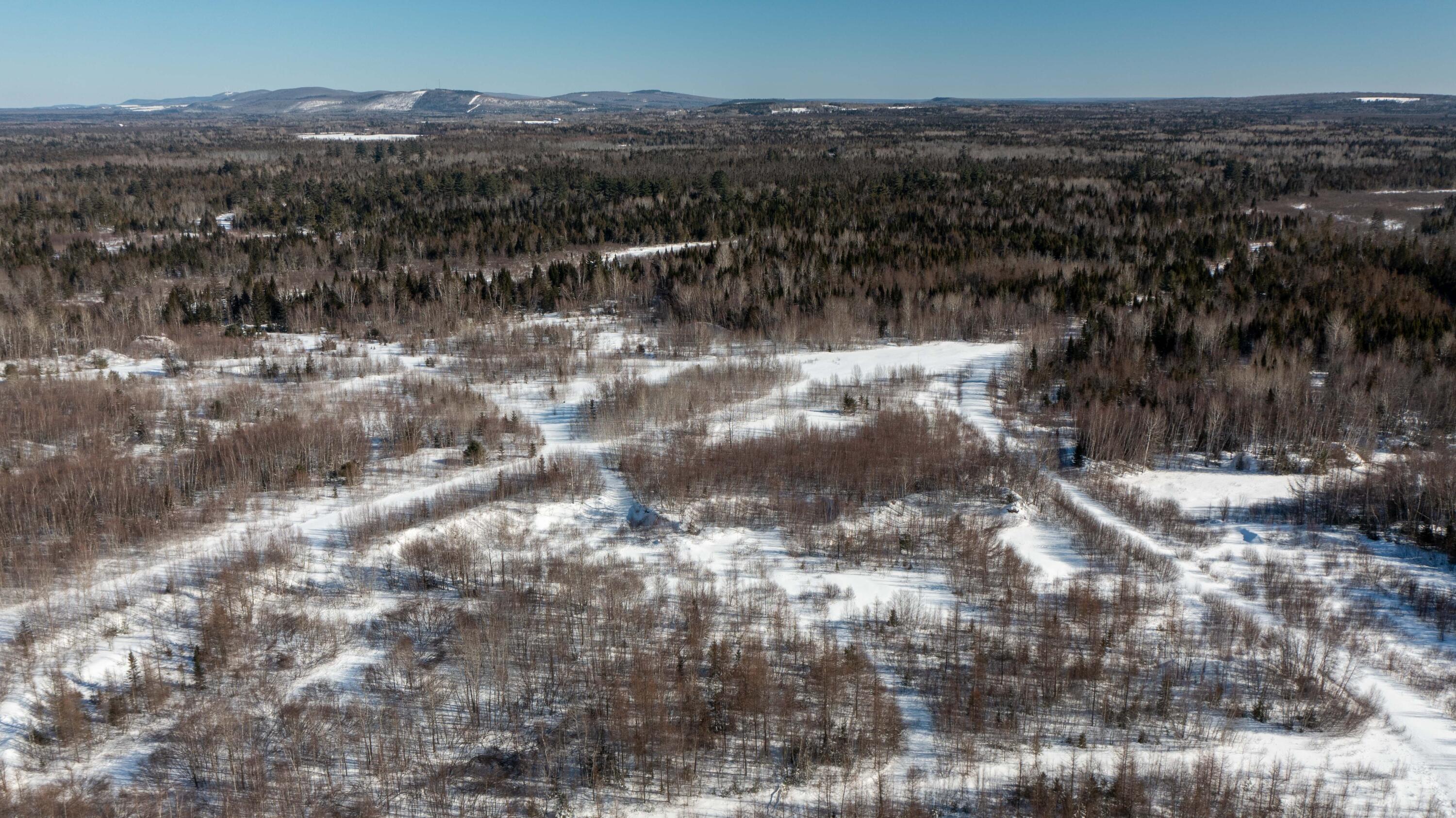 2 R 159/ Belvedere Road Crystal, ME 04747 - Photo 16 of 44 3900 +_- Acre Kingdom Parcel(14)