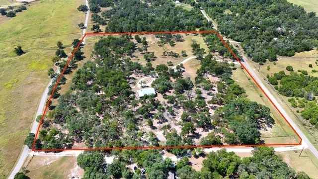 a view of a yard with plants and a bench
