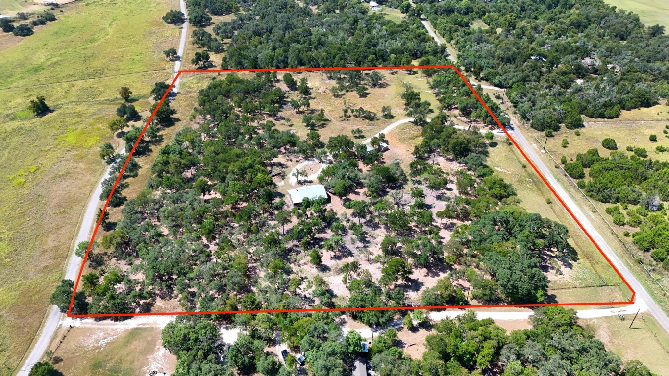 a view of a yard with plants and a bench