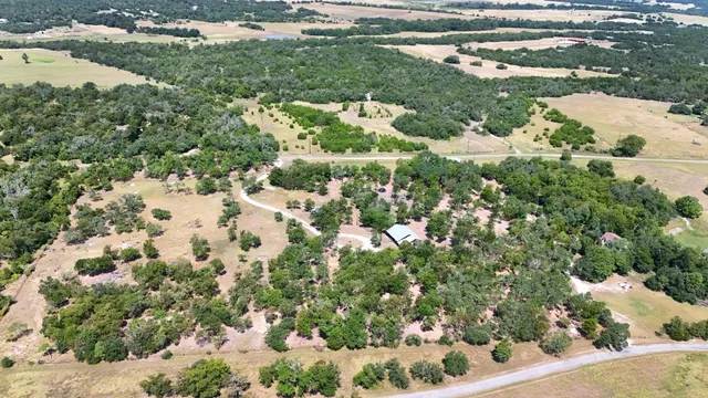 a view of a garden with a tree