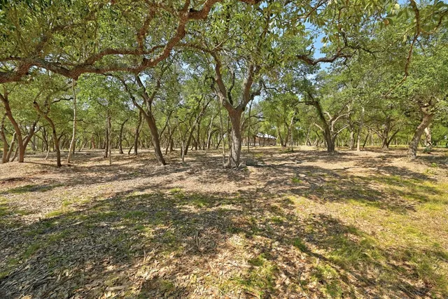 a view of outdoor space with trees