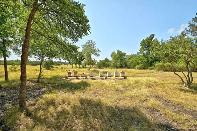 a view of yard with swimming pool and trees