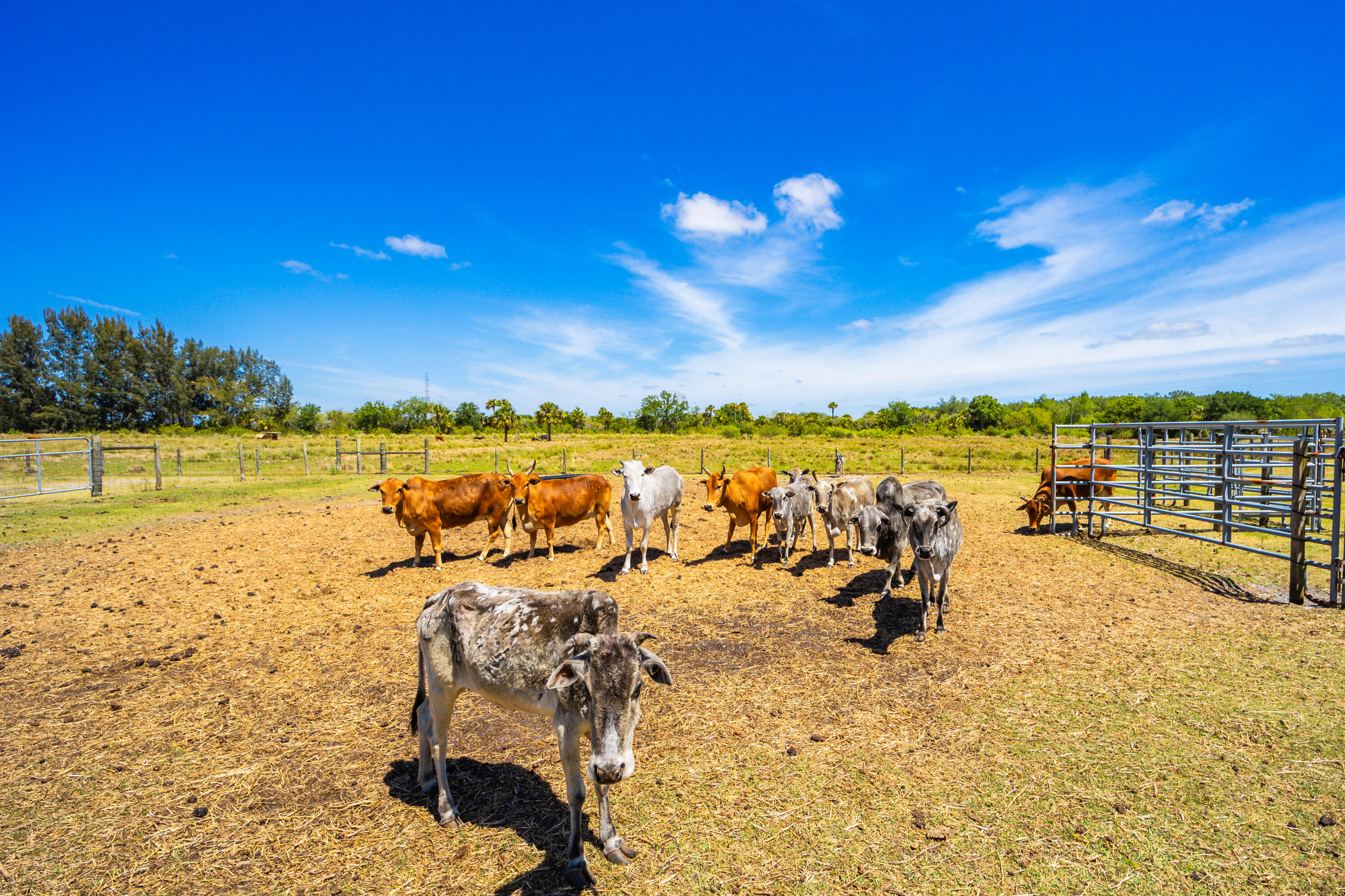 1101 Trowbridge Road Fort Pierce, FL 34945 - Photo 37 of 38 a view of a lake with outdoor space