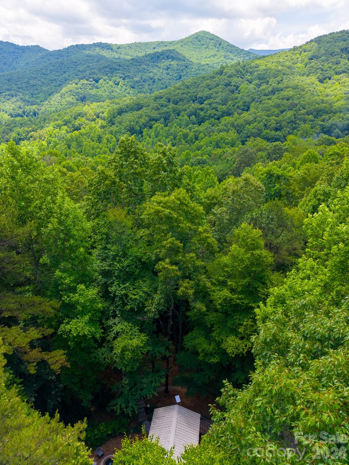 243 Jonquil Wds Road Franklin, NC 28734 - Photo 48 of 48