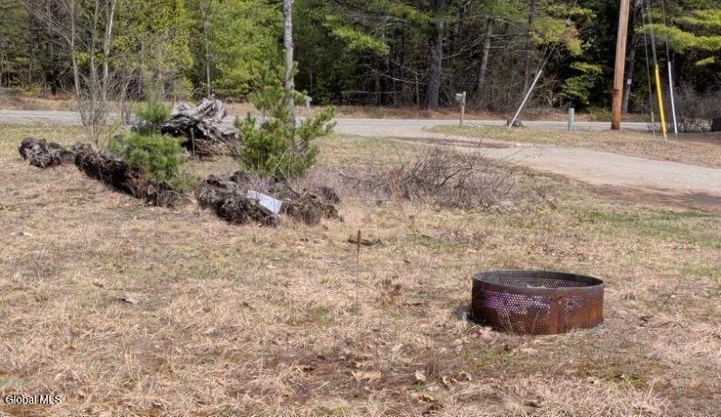 122 Cutting Road Lewis, NY 12932 - Photo 6 of 27 front yard