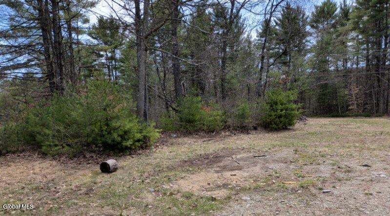122 Cutting Road Lewis, NY 12932 - Photo 9 of 27 yard