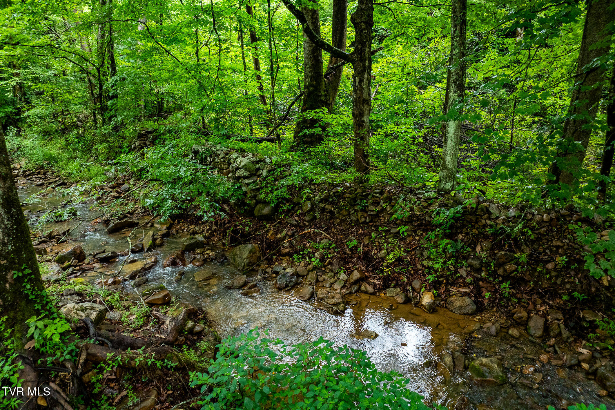 6539 Big Dry Run Road Butler, TN 37640 - Photo 53 of 93 6539 Big Dry Run Road (31 of 79)
