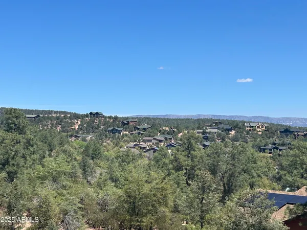 a view of a city with lush green forest