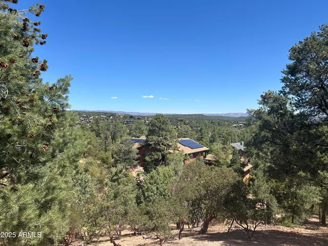a view of a city with lush green forest