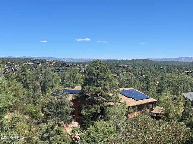 a view of a lush green field with a tree in a field