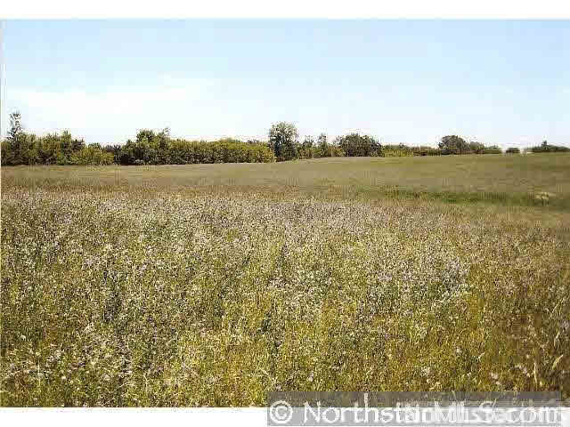 232 Kuntz Drive Independence, MN 55359 - Photo 9 of 9