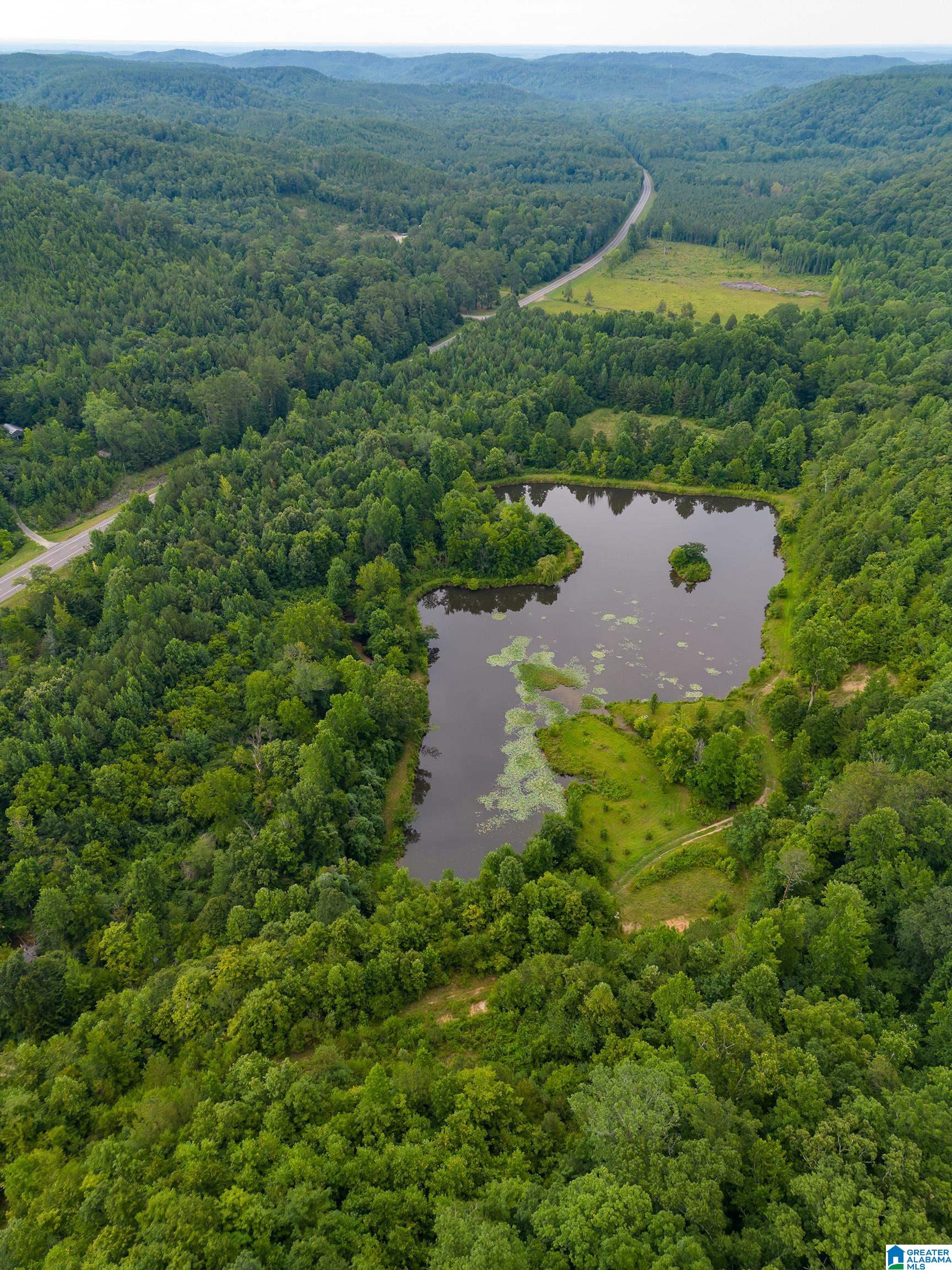 81 Frozen Hollow Road, Unit 32 Carbon Hill, AL 35549 - Photo 29 of 42