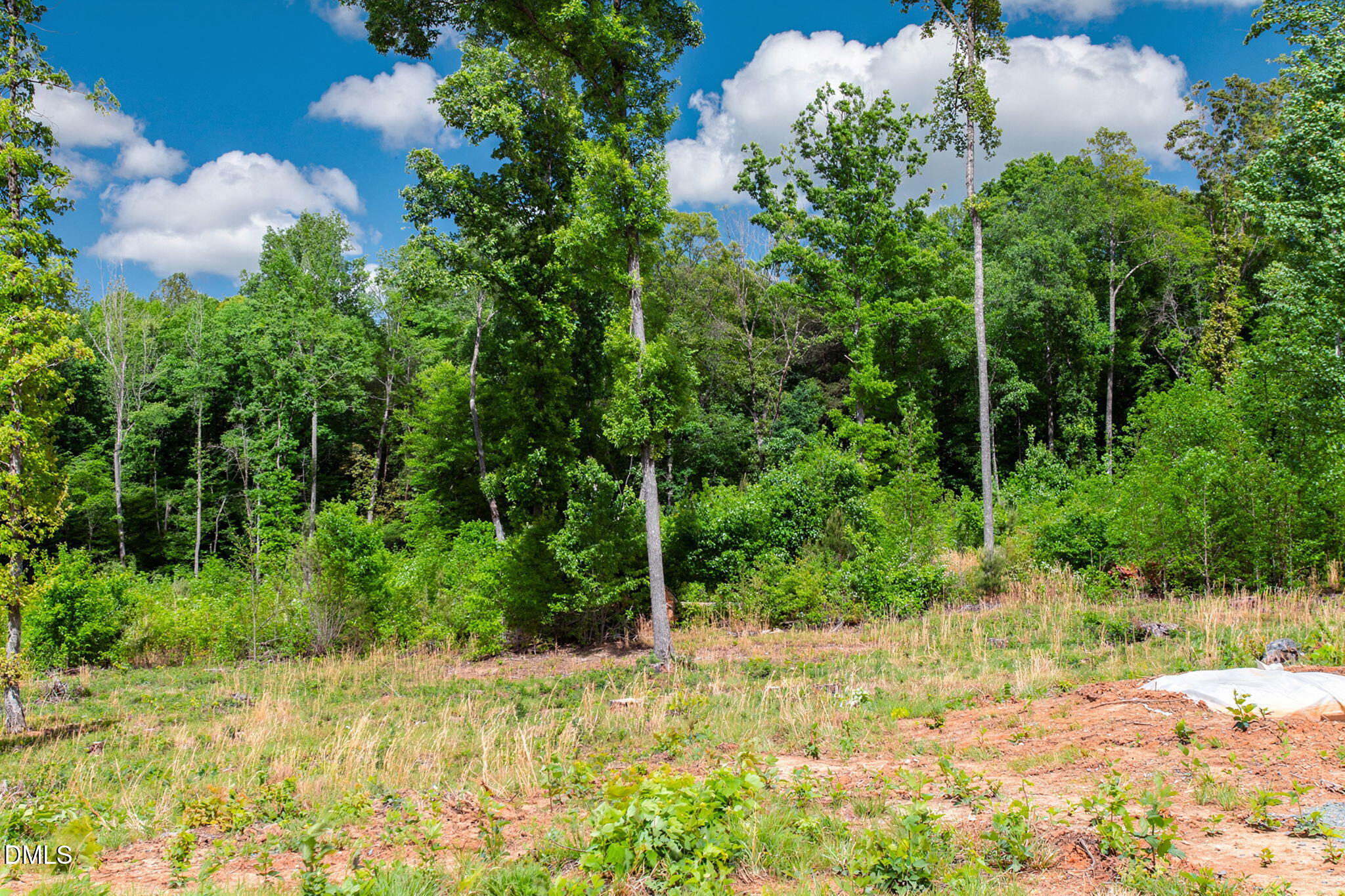 10 Conner Ridge Road Efland, NC 27243 - Photo 2 of 8