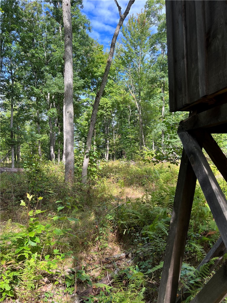 Dyke Road Corning, NY 14830 - Photo 13 of 49 Gallery Image 13