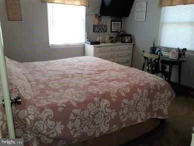 166 Grover Road Edinburg, VA 22824 - Photo 11 of 14 Master Bedroom