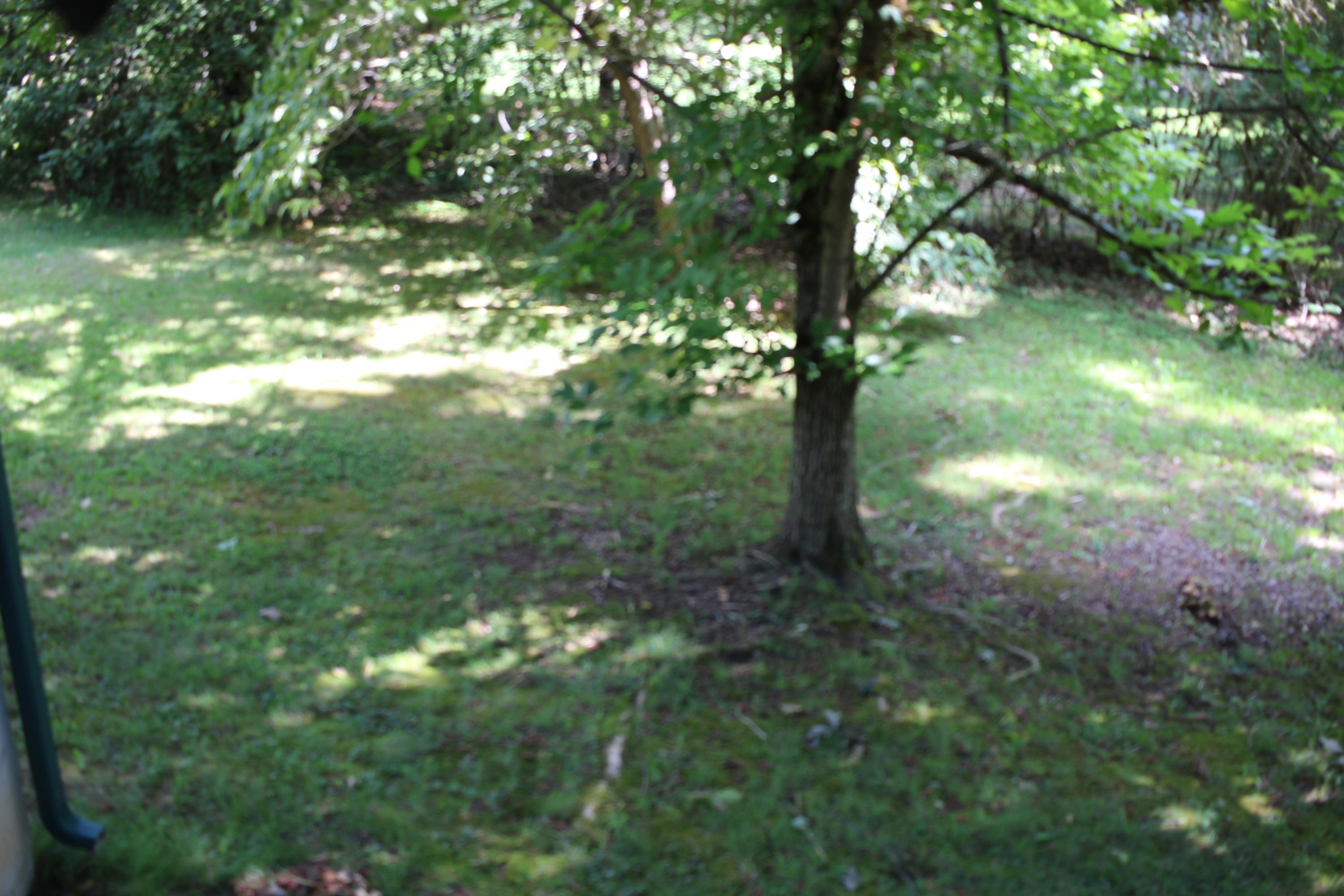7973 Genesis Road Crossville, TN 38571 - Photo 25 of 29 IMG_0451