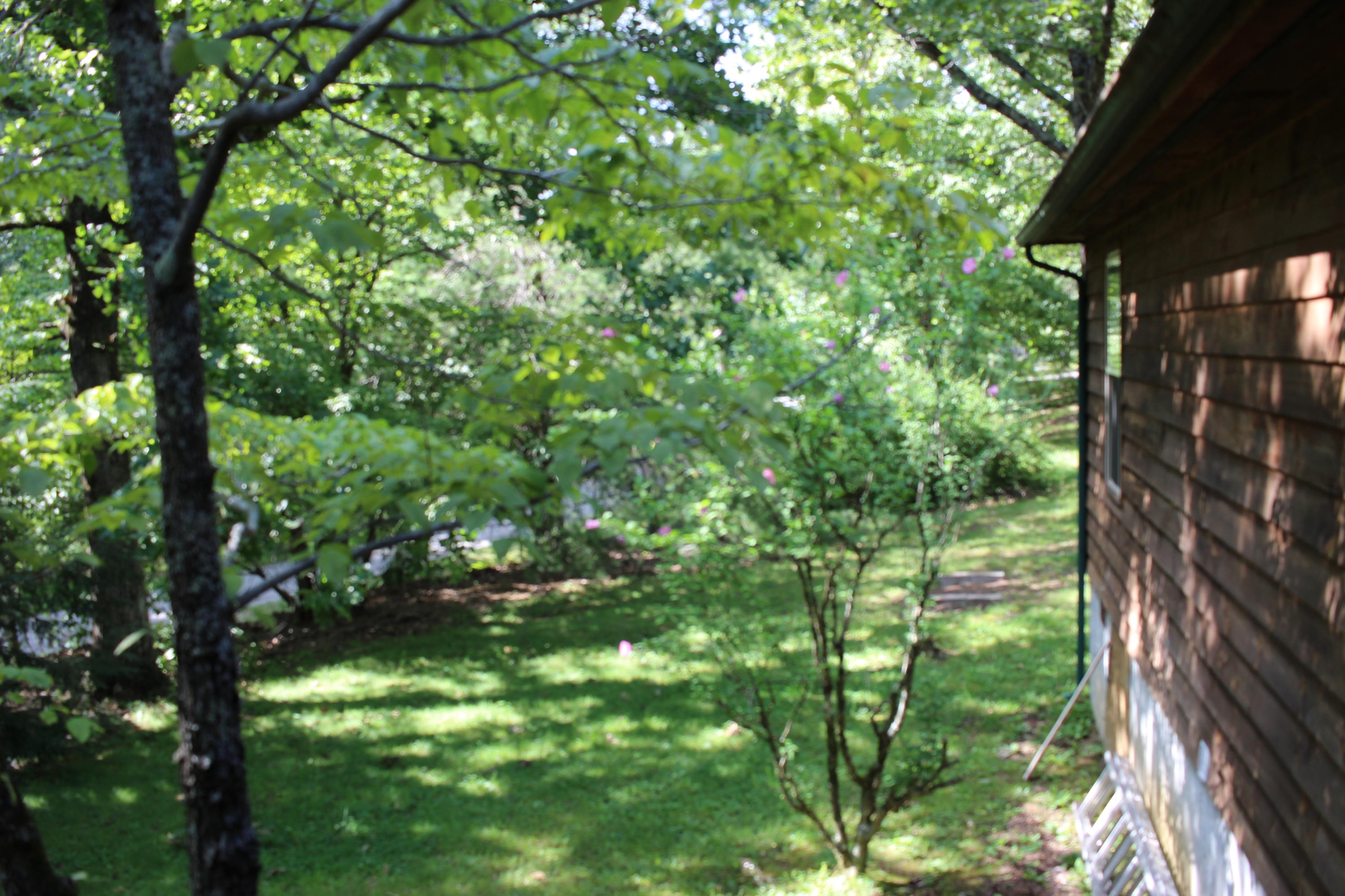 7973 Genesis Road Crossville, TN 38571 - Photo 26 of 29 IMG_0452