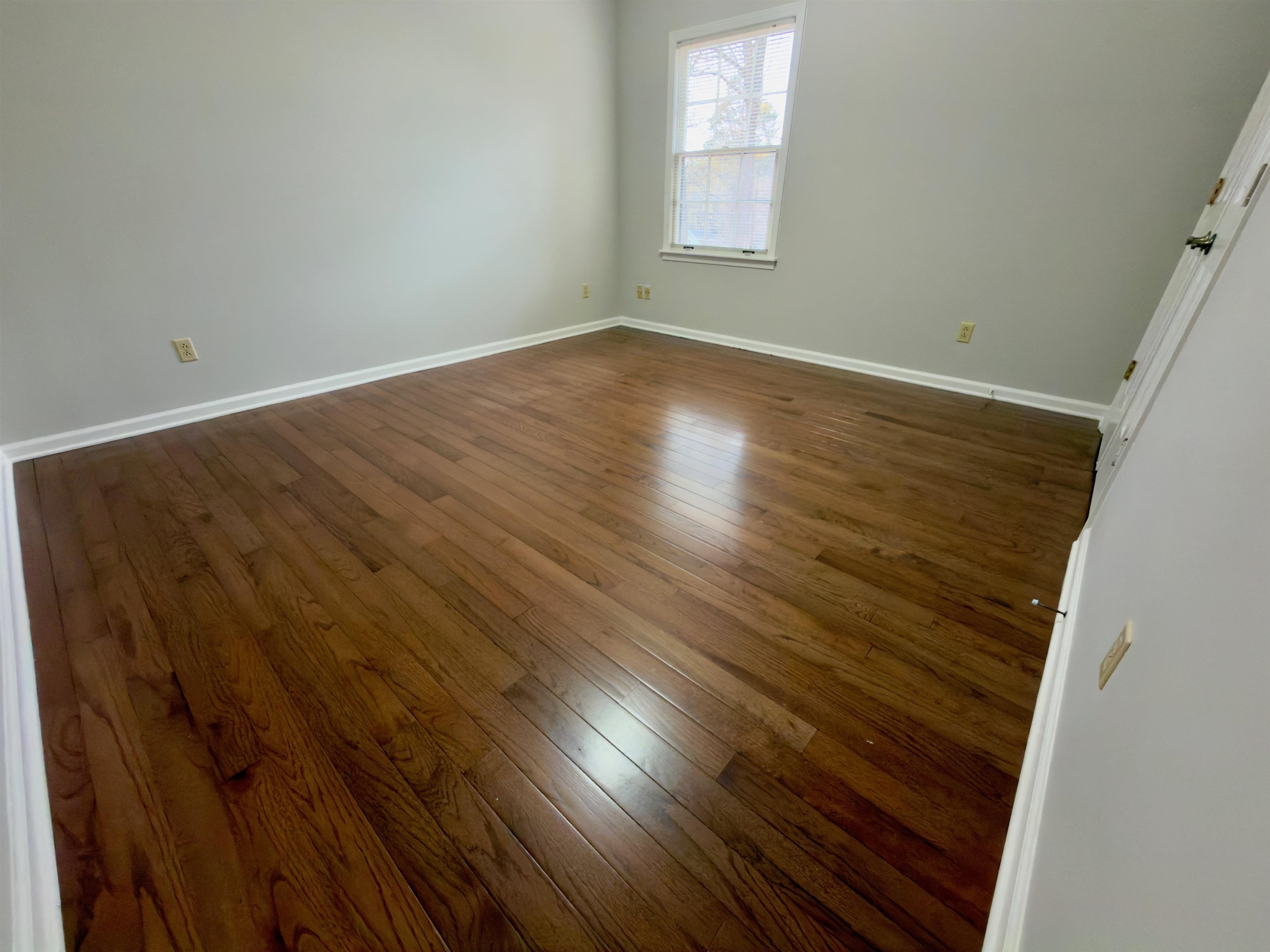 1741 Magnolia Tree Road Germantown, TN 38138 - Photo 28 of 34