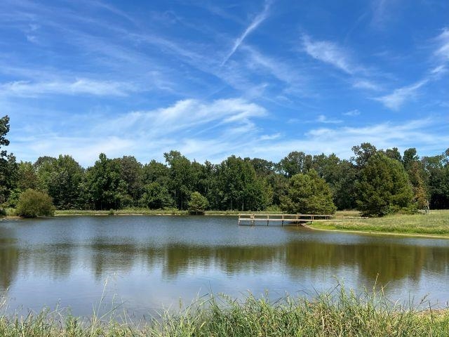 9125 Highway 196 Collierville, TN 38017 - Photo 39 of 40 a view of a lake with houses in the back