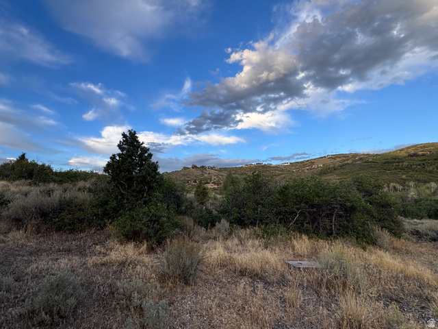 1870 South Beaver Bench Road, Unit 1442 Heber City, UT 84032 - Photo 4 of 10 Additional content