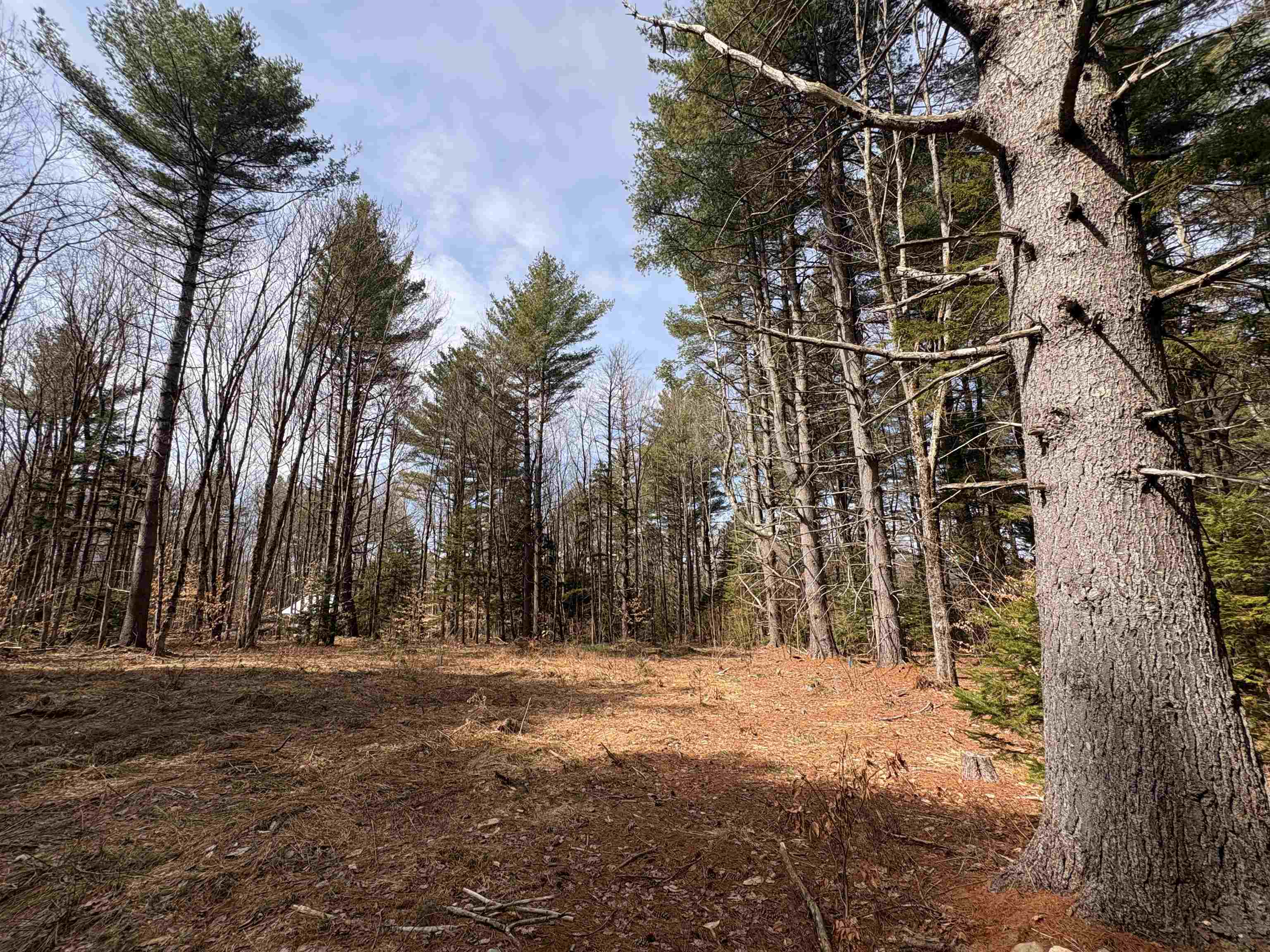 70 Deer Hill Road, Unit LOTS 4 & 9 Whitingham, VT 05361 - Photo 3 of 12