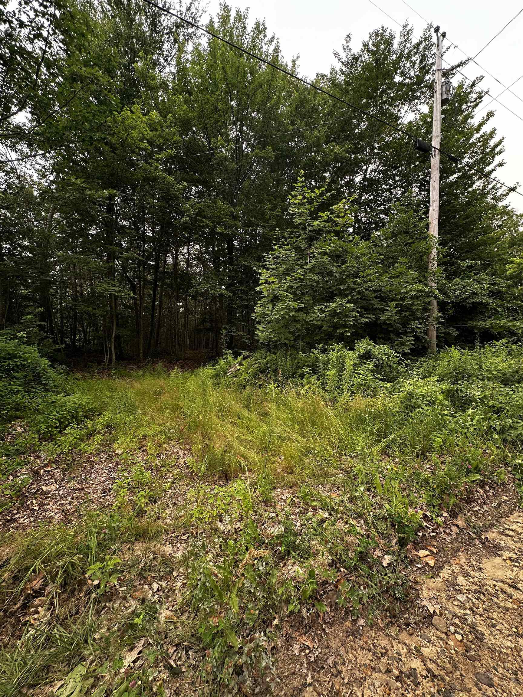 877 North Barnstead Road Barnstead, NH 03225 - Photo 4 of 12