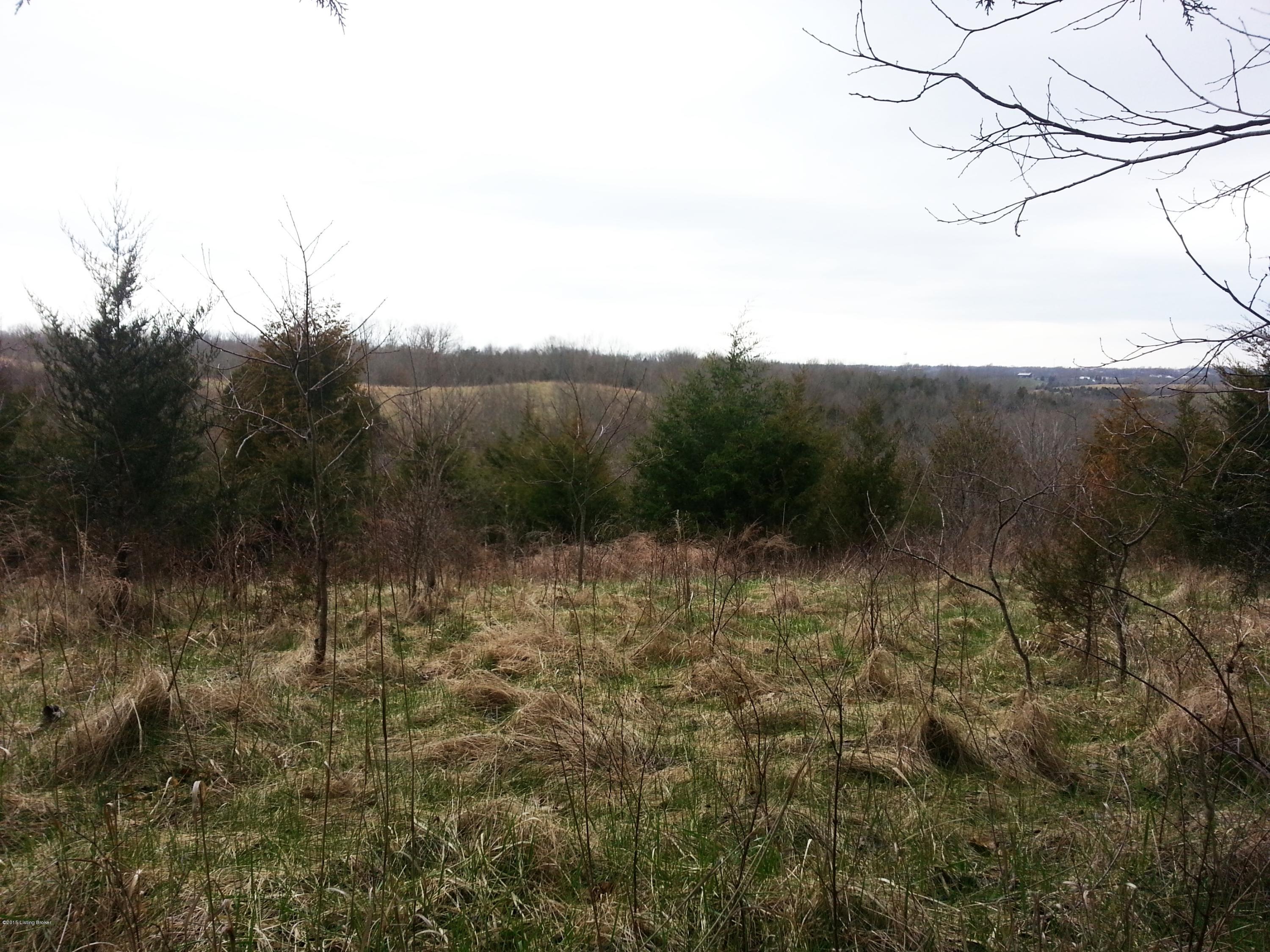 3318 Mt Eden Road Lawrenceburg, KY 40342 - Photo 2 of 10 2