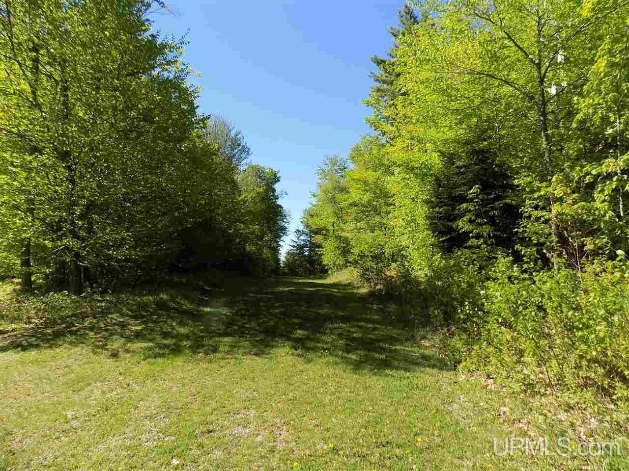 Tbd Northshore Bluffs Road, Unit 4 Manistique, MI 49854 - Photo 1 of 21