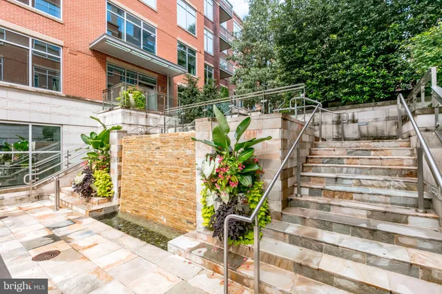 a view of street along with potted plants