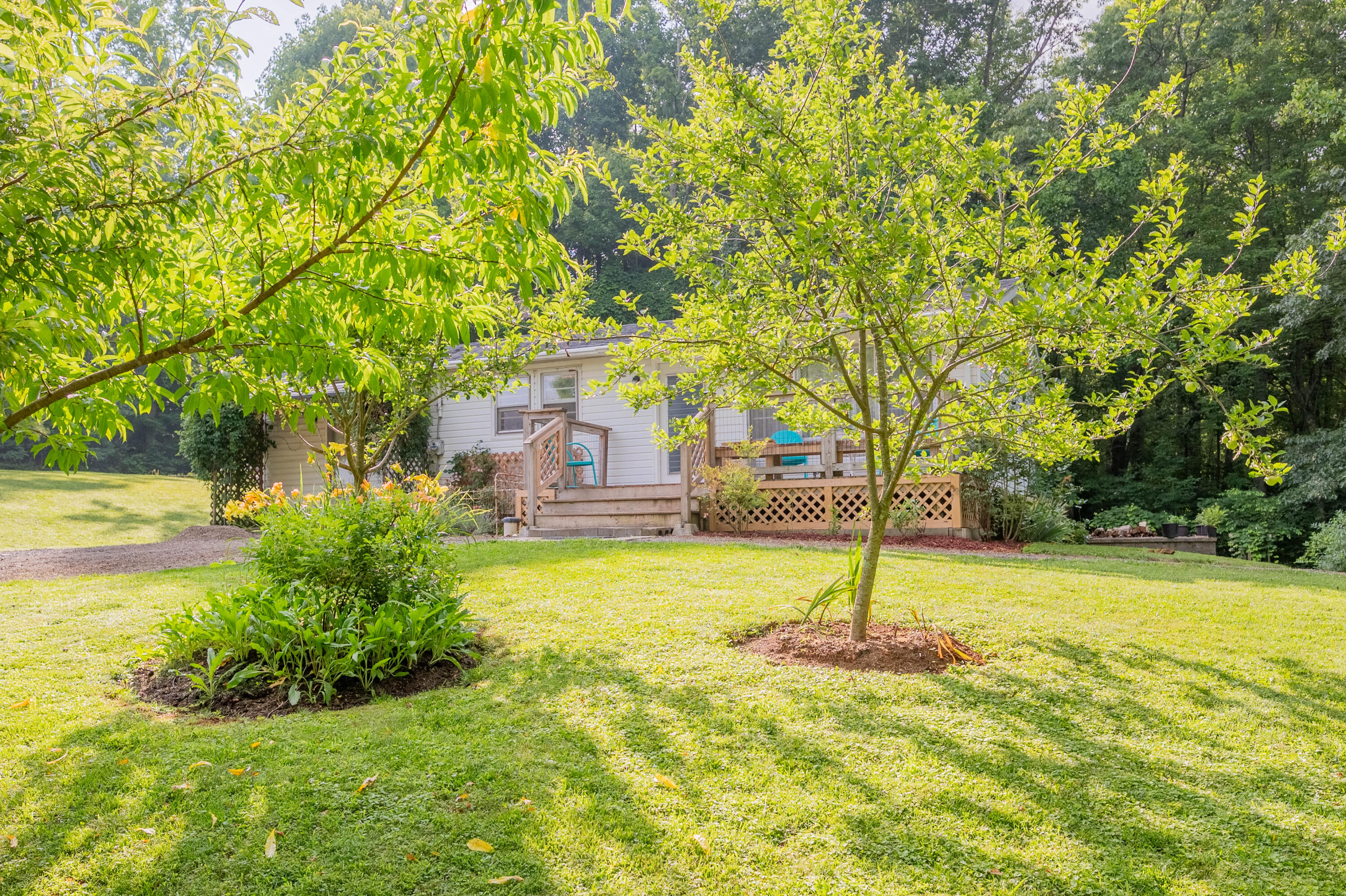 711 Shelor Road Southwest Meadows Of Dan, VA 24120 - Photo 22 of 39 meadows of dan-31