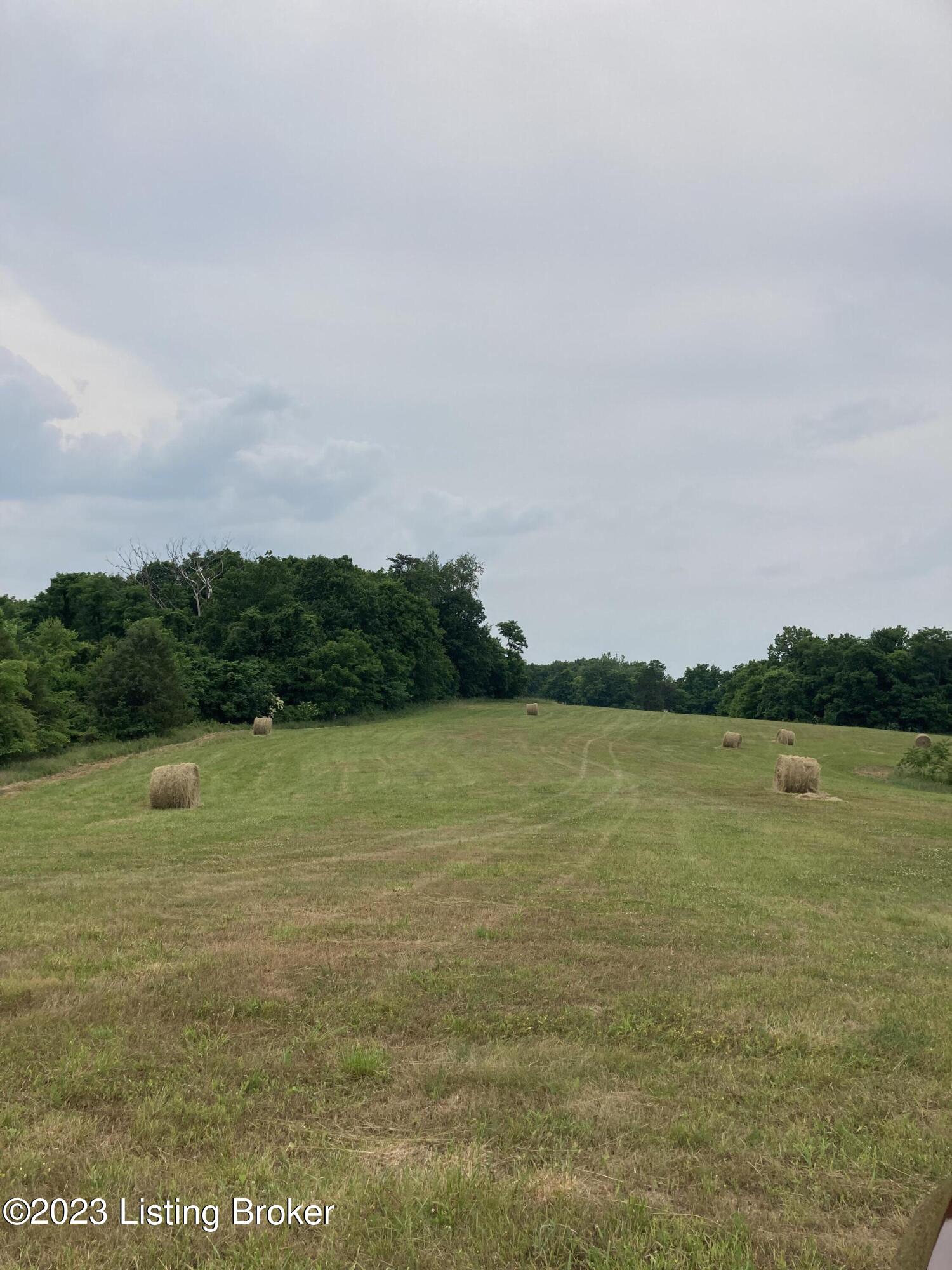 225 Burgin-Noel Road Bloomfield, KY 40008 - Photo 10 of 12 IMG_4295