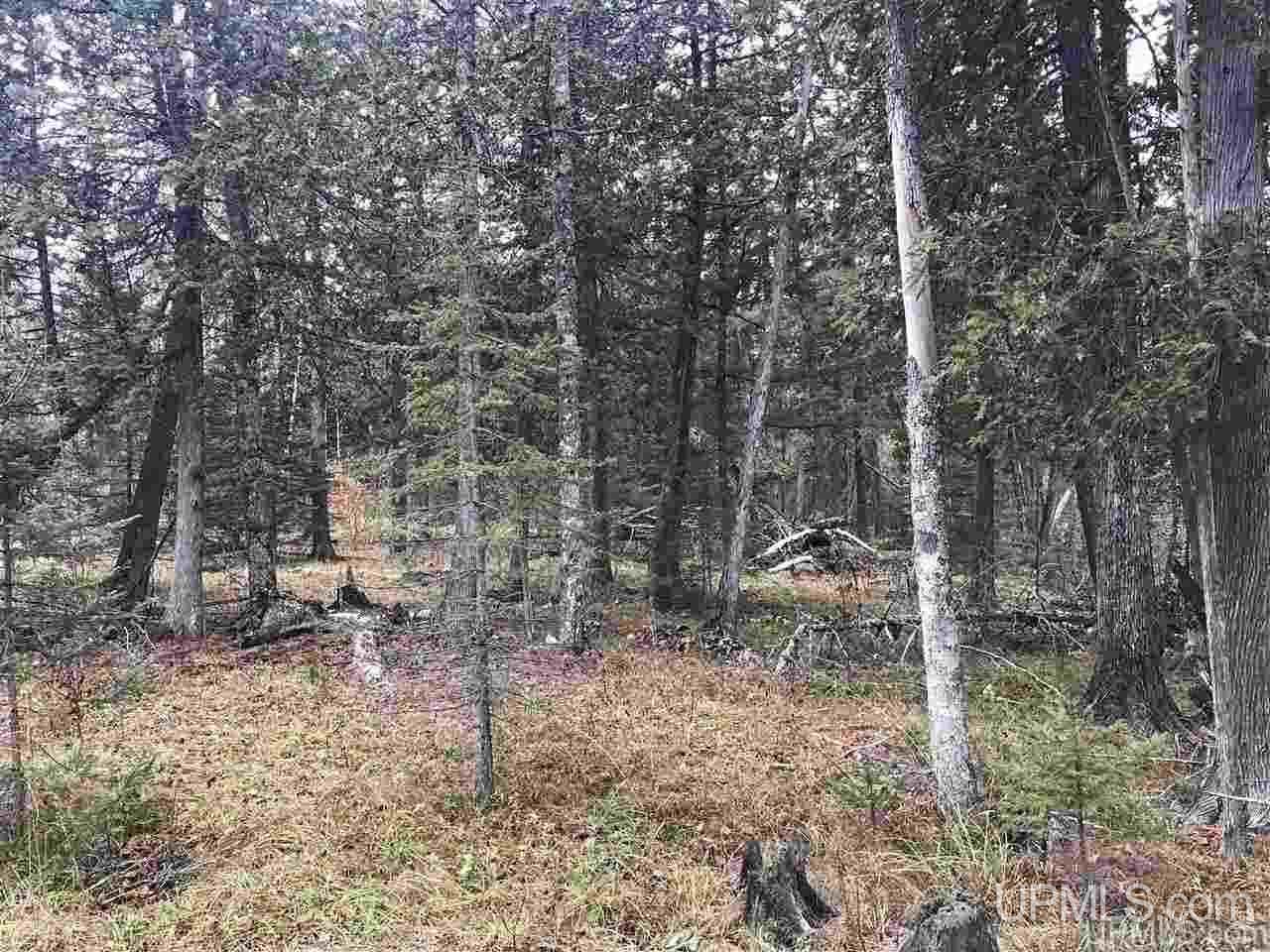 Tbd Off River Road, Unit 2 Hermansville, MI 49847 - Photo 15 of 34