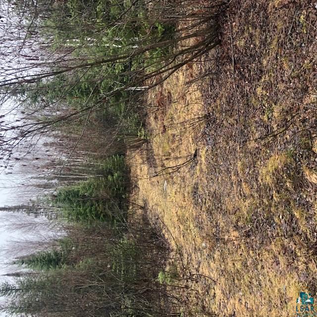 Xxx Roini Road Angora, MN 55703 - Photo 19 of 20