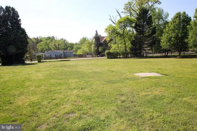a view of a field with trees