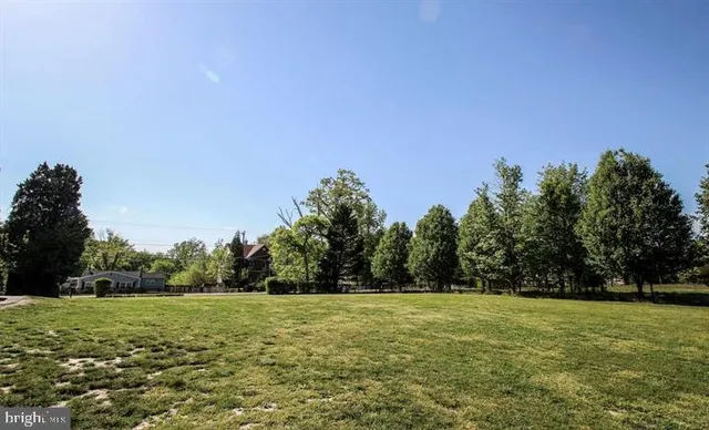 a view of a field with trees