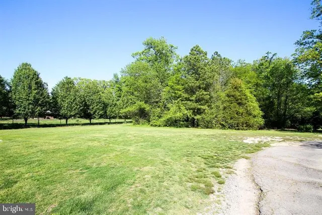 a view of a field with trees in the background