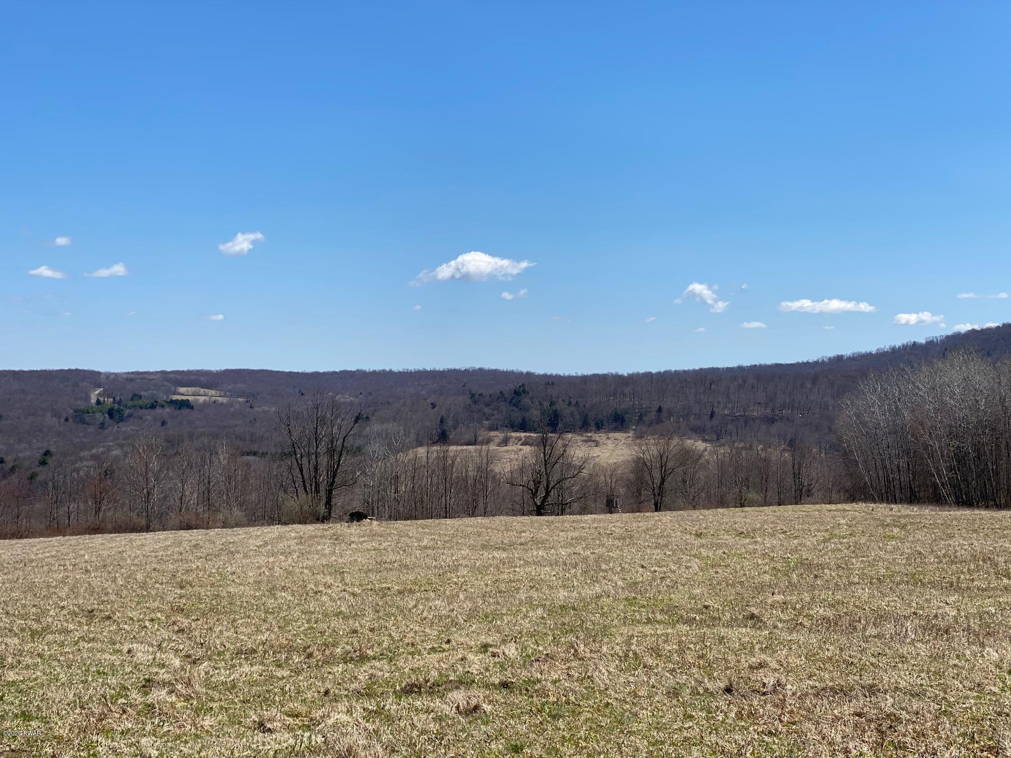 695 Pine Mill Road Equinunk, PA 18417 - Photo 15 of 68