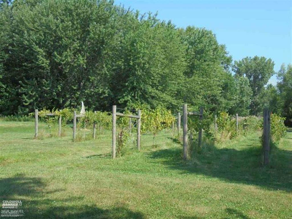 9187 Springborn Road Casco, MI 48064 - Photo 47 of 60