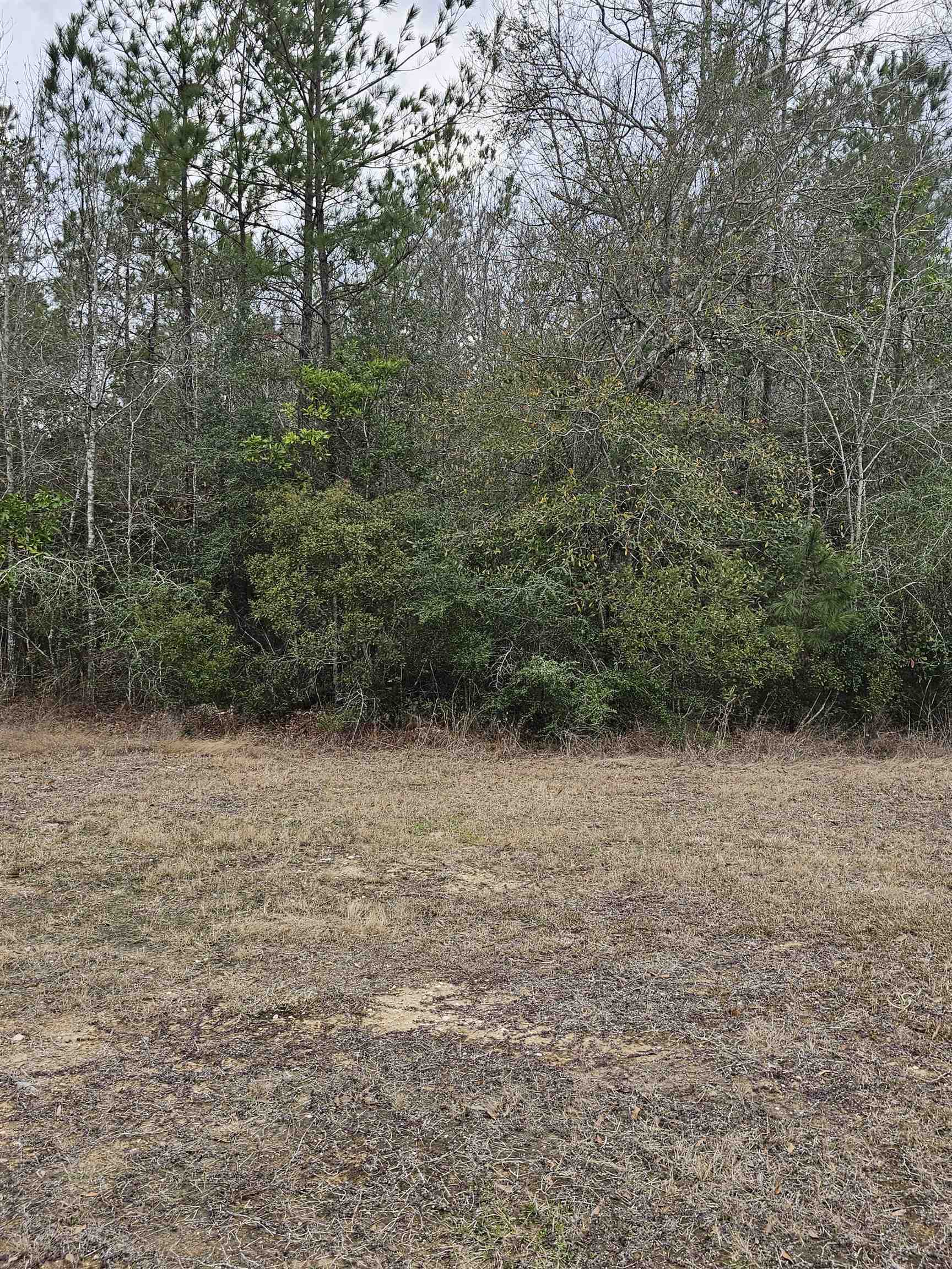 7100 Keith Road Lumberton, TX 77657 - Photo 3 of 3