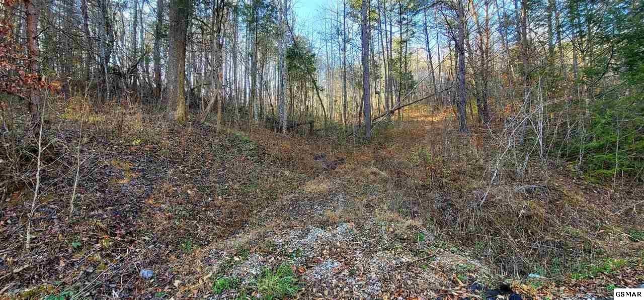 0 Licking Spring Way Sevierville, TN 37876 - Photo 2 of 4