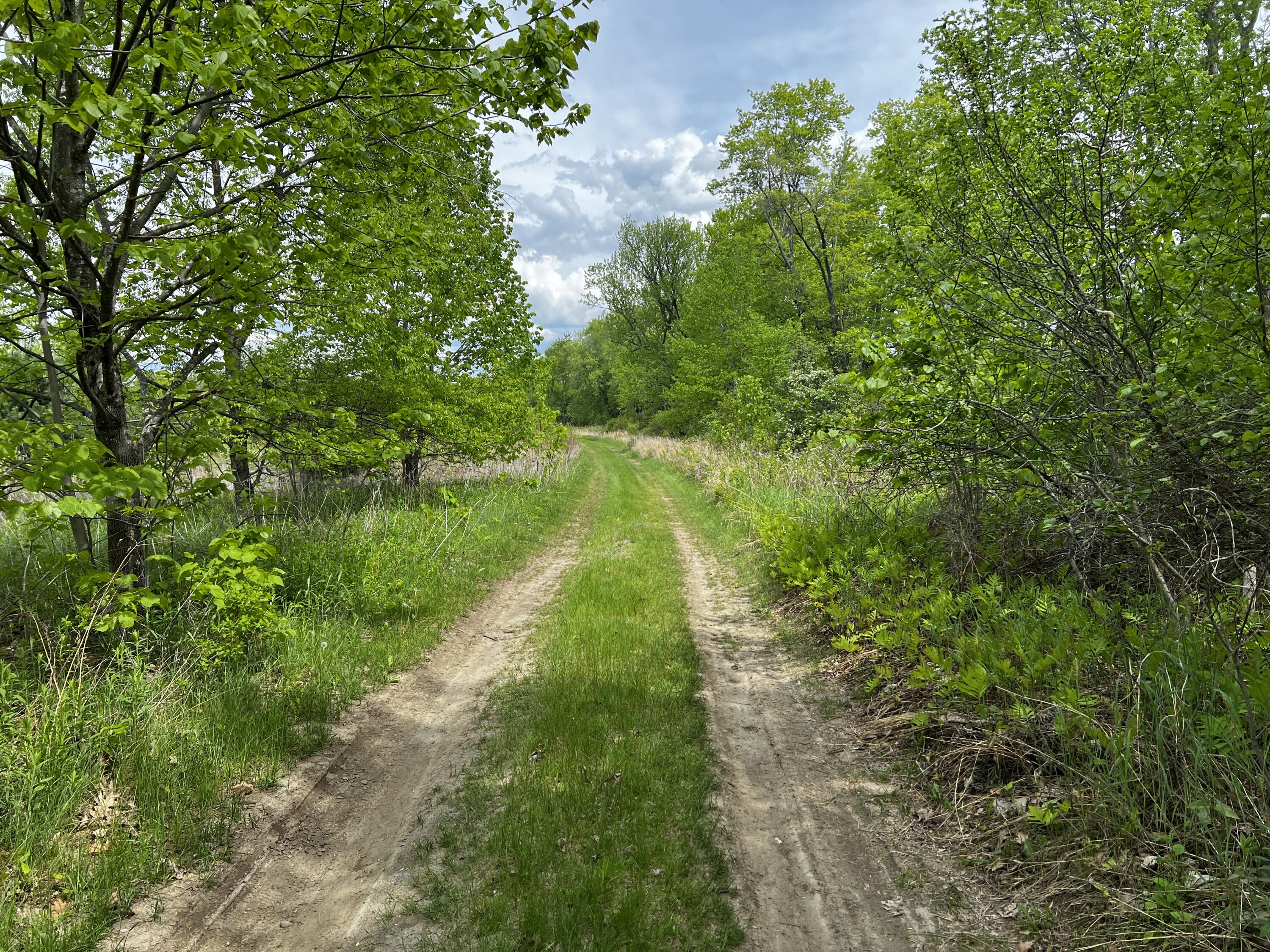 Lot 6 Emery Farm Road Medford, ME 04463 - Photo 9 of 27 IMG_4252