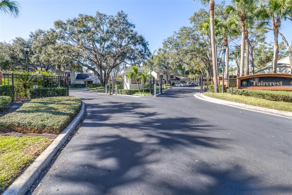 5100 Burchette Road, Unit 4102 Tampa, FL 33647 - Photo 37 of 47 a view of a yard with flower plants