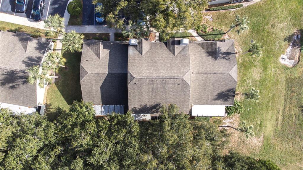 5100 Burchette Road, Unit 4102 Tampa, FL 33647 - Photo 42 of 47 an aerial view of residential house with outdoor space and trees