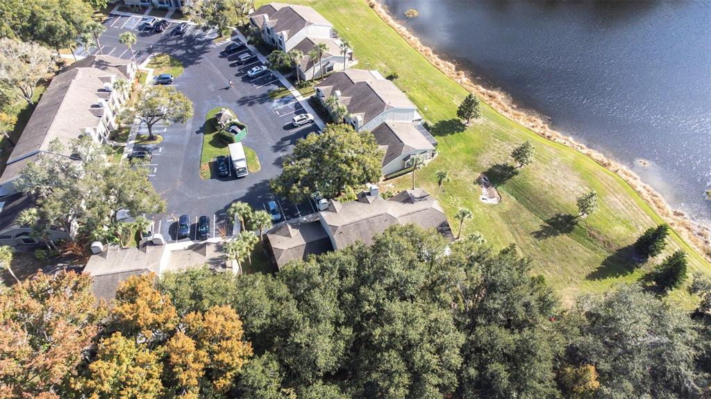 5100 Burchette Road, Unit 4102 Tampa, FL 33647 - Photo 44 of 47