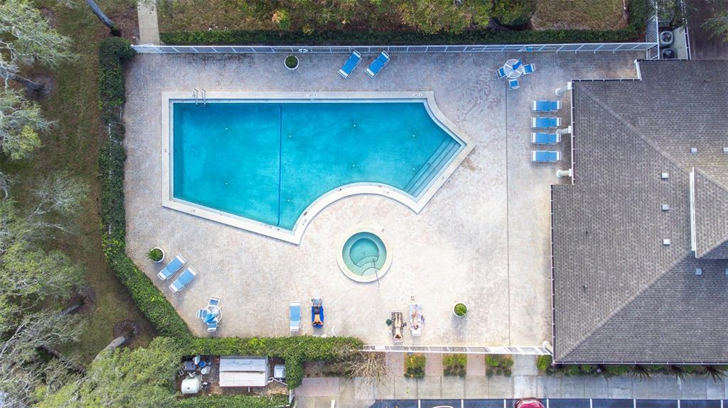 5100 Burchette Road, Unit 4102 Tampa, FL 33647 - Photo 47 of 47 an aerial view of a house with a yard and a large tree