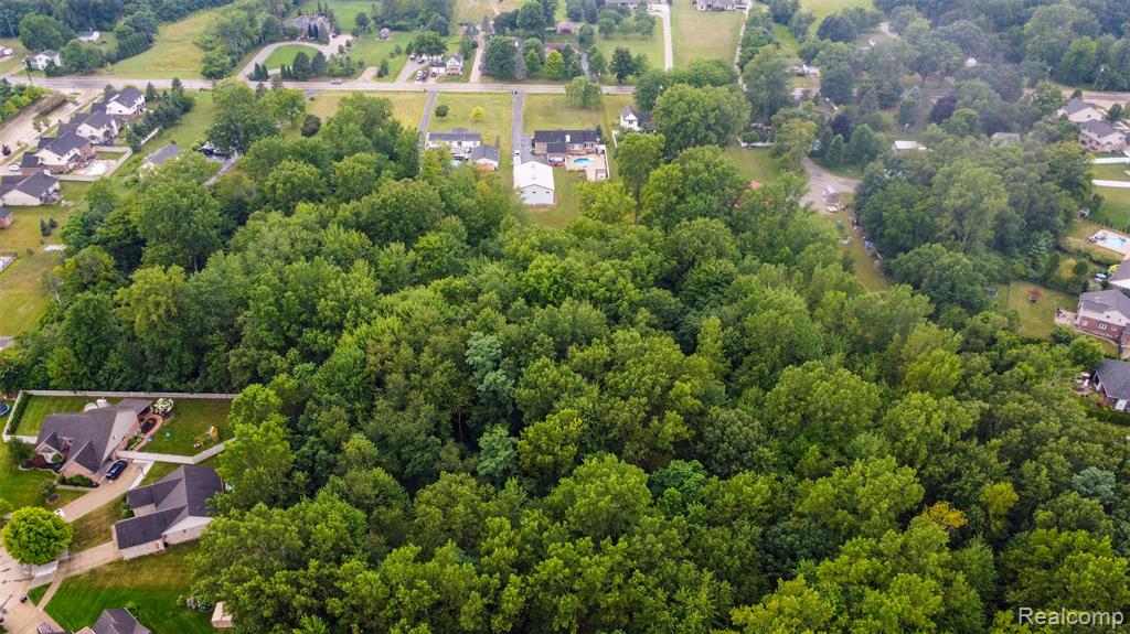 26429 Inkster Road Flat Rock, MI 48134 - Photo 91 of 93 Gallery Image 91