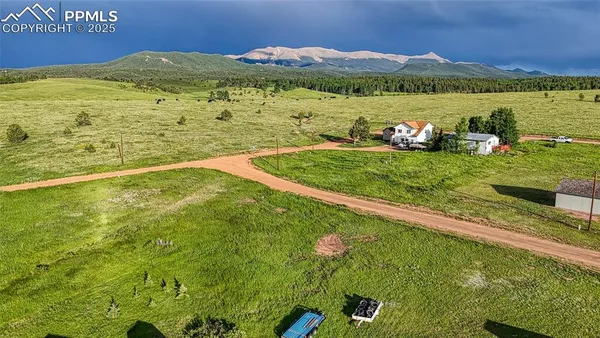 a view of a garden with an ocean 